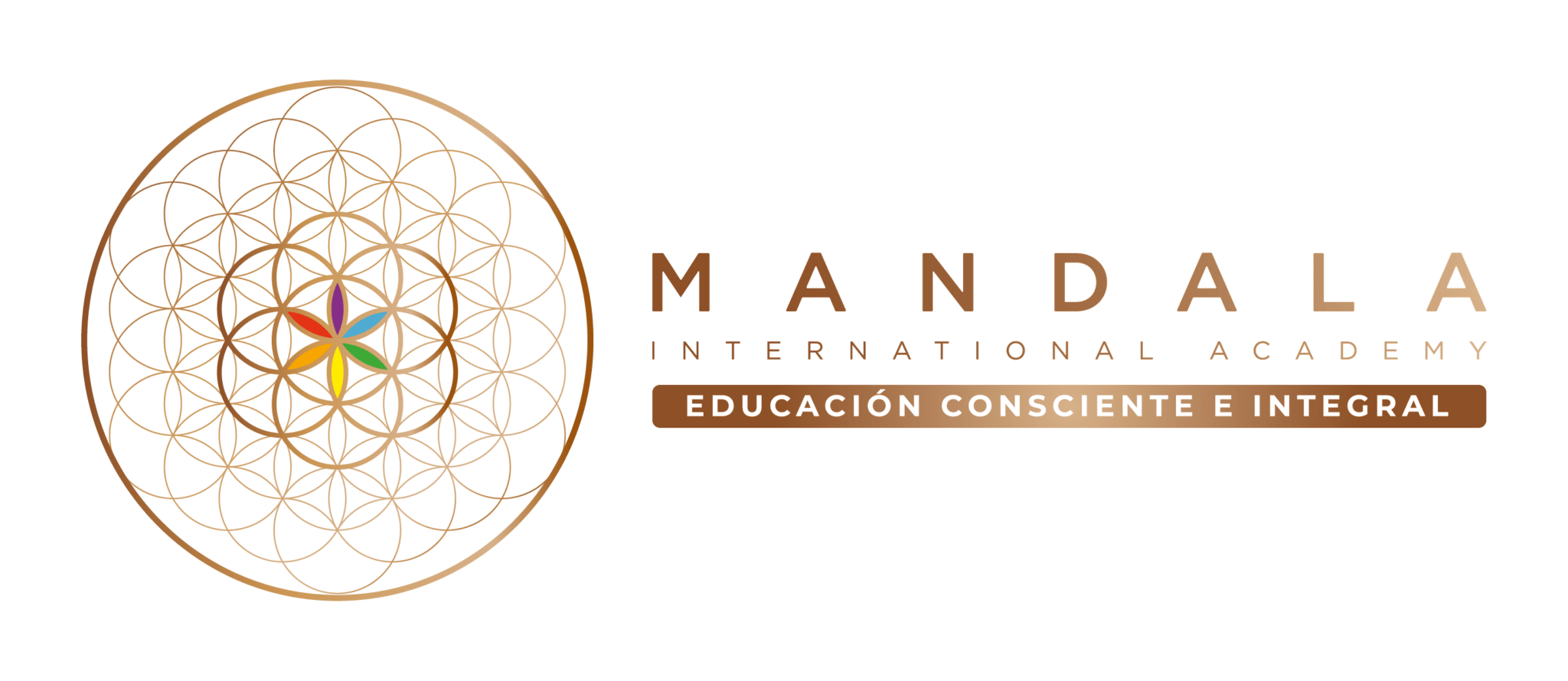 Importancia De La Salud Mental En Los Estudiantes Mandala Academy